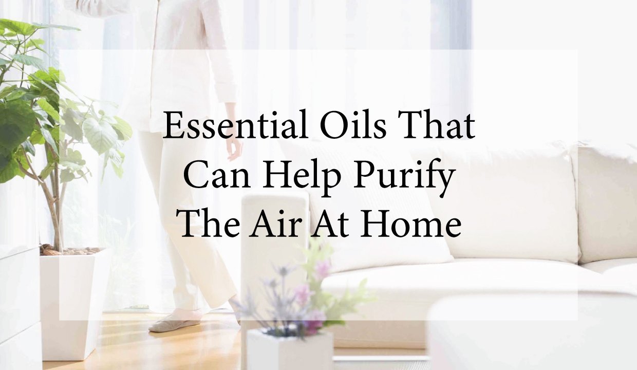 Essential Oils That Can Help Purify The Air At Home