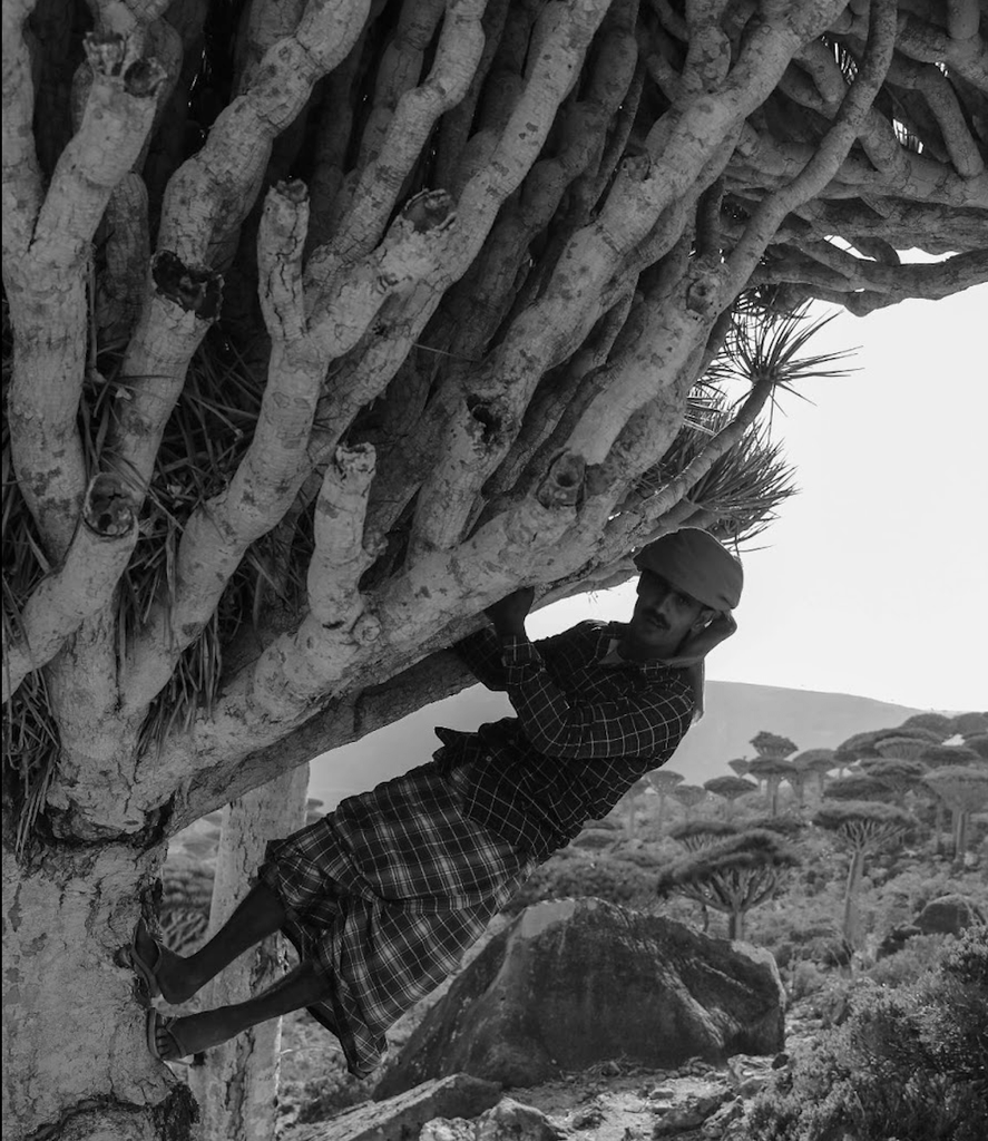 PURAS Dragon's Blood: The Best Anti-Aging Skin Treatment