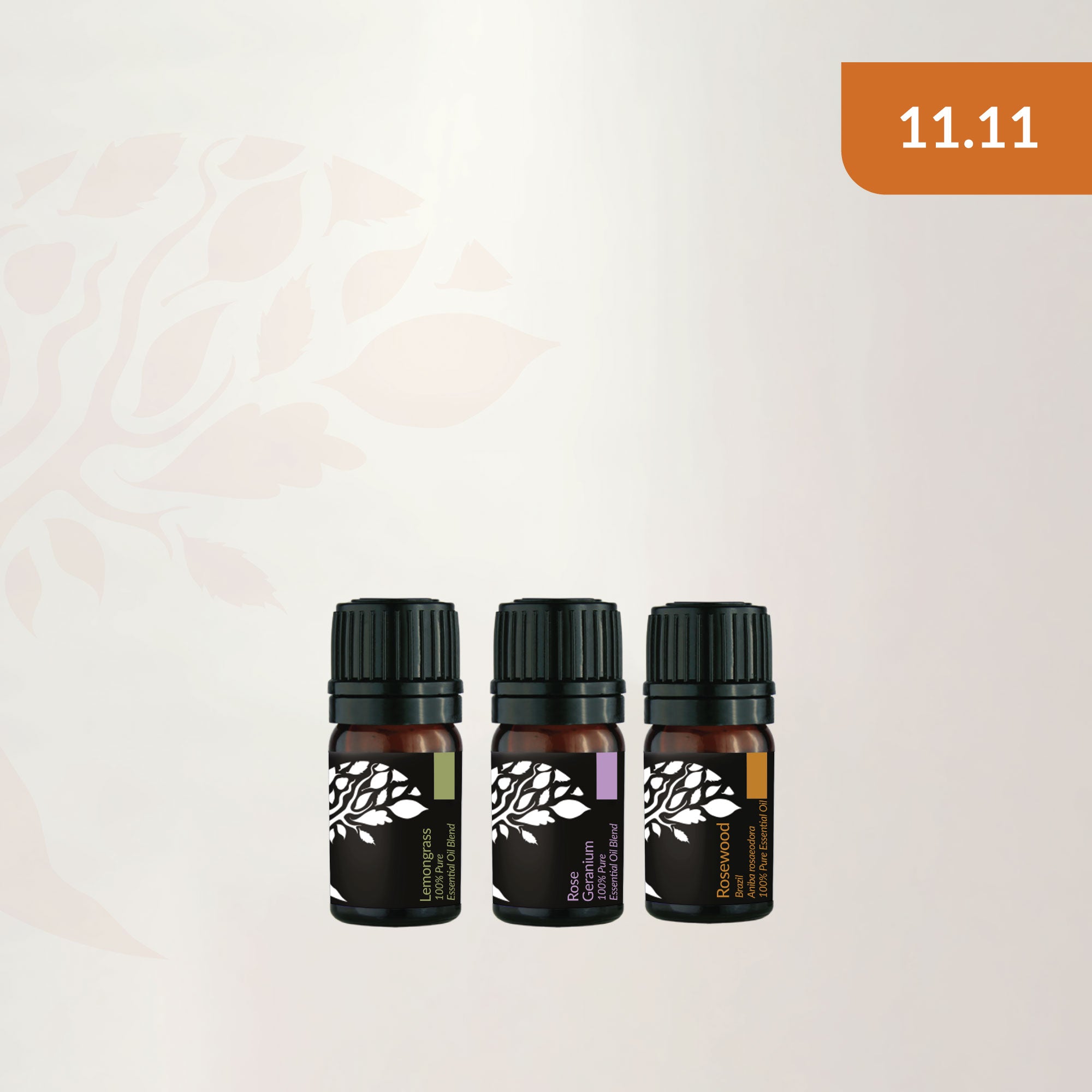 [11.11] Mood Revival Trio