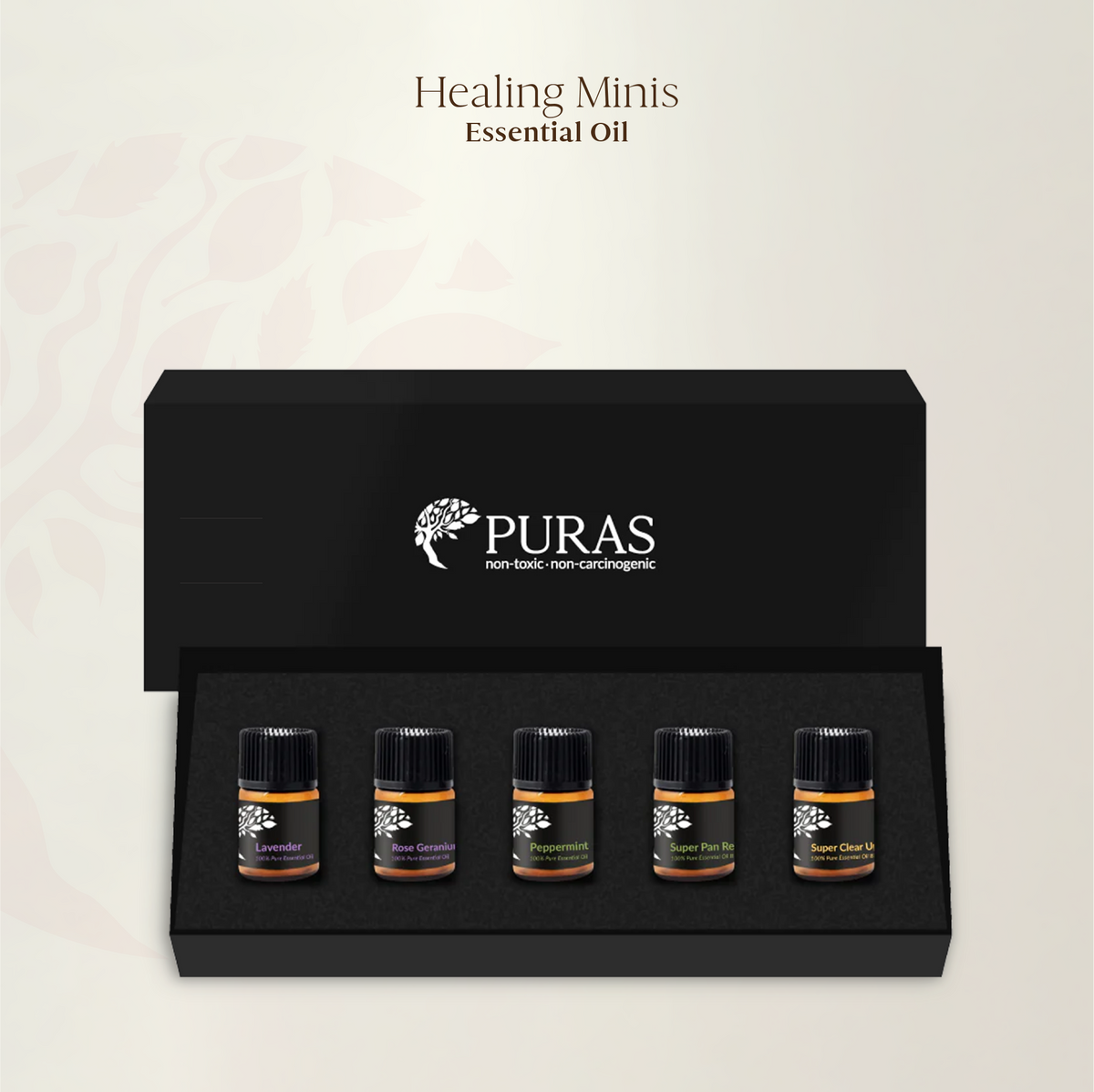 Healing Minis - Essential Oil (2ml set of 5)