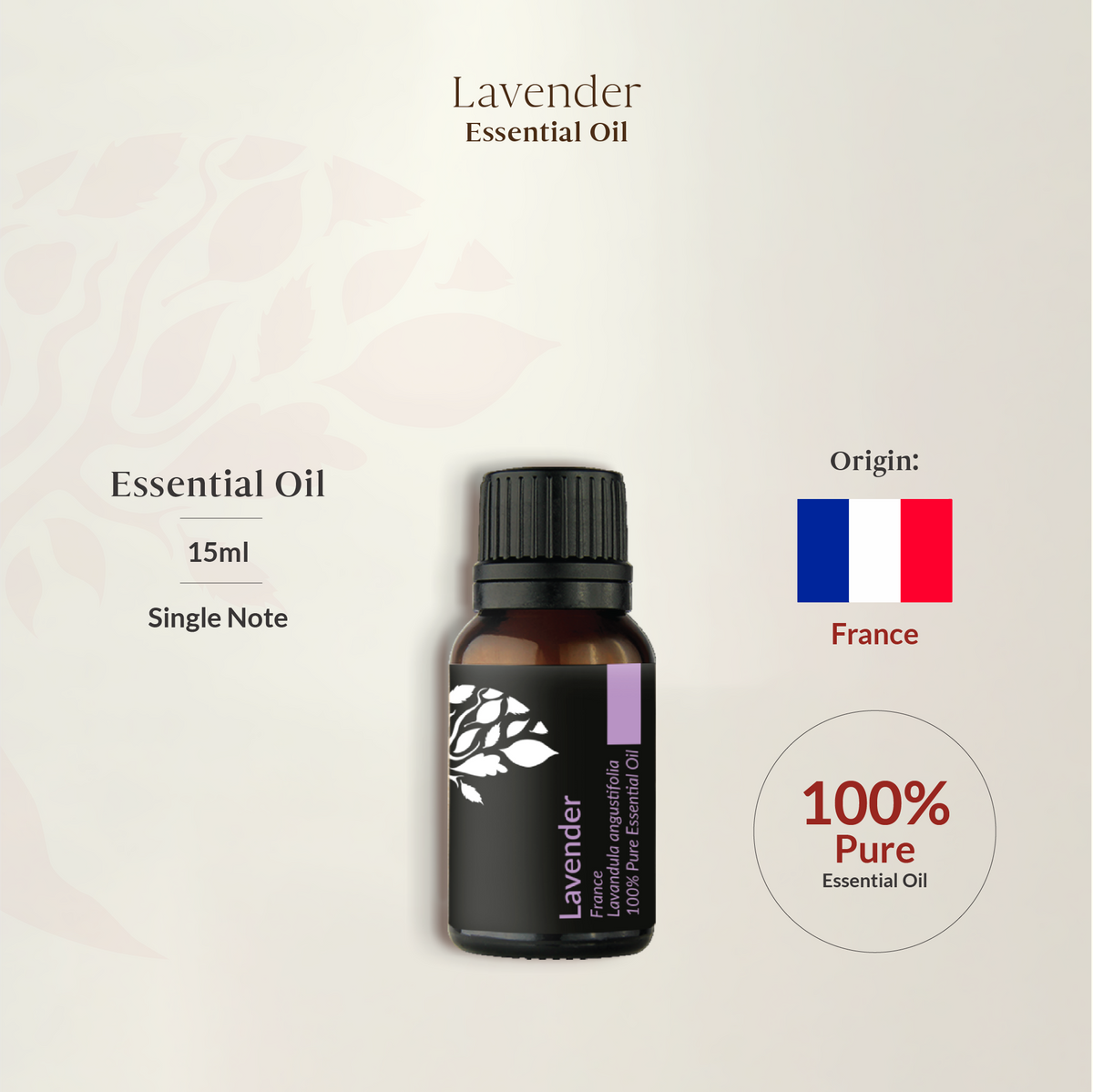 Lavender Essential Oil 50ml