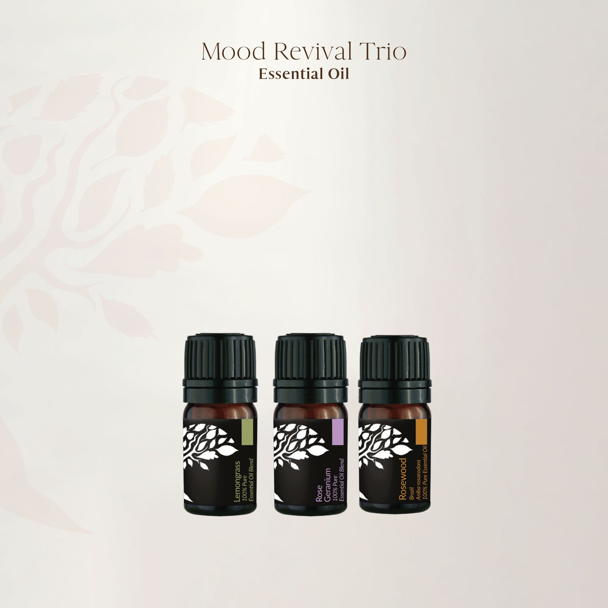 [11.11] Mood Revival Trio