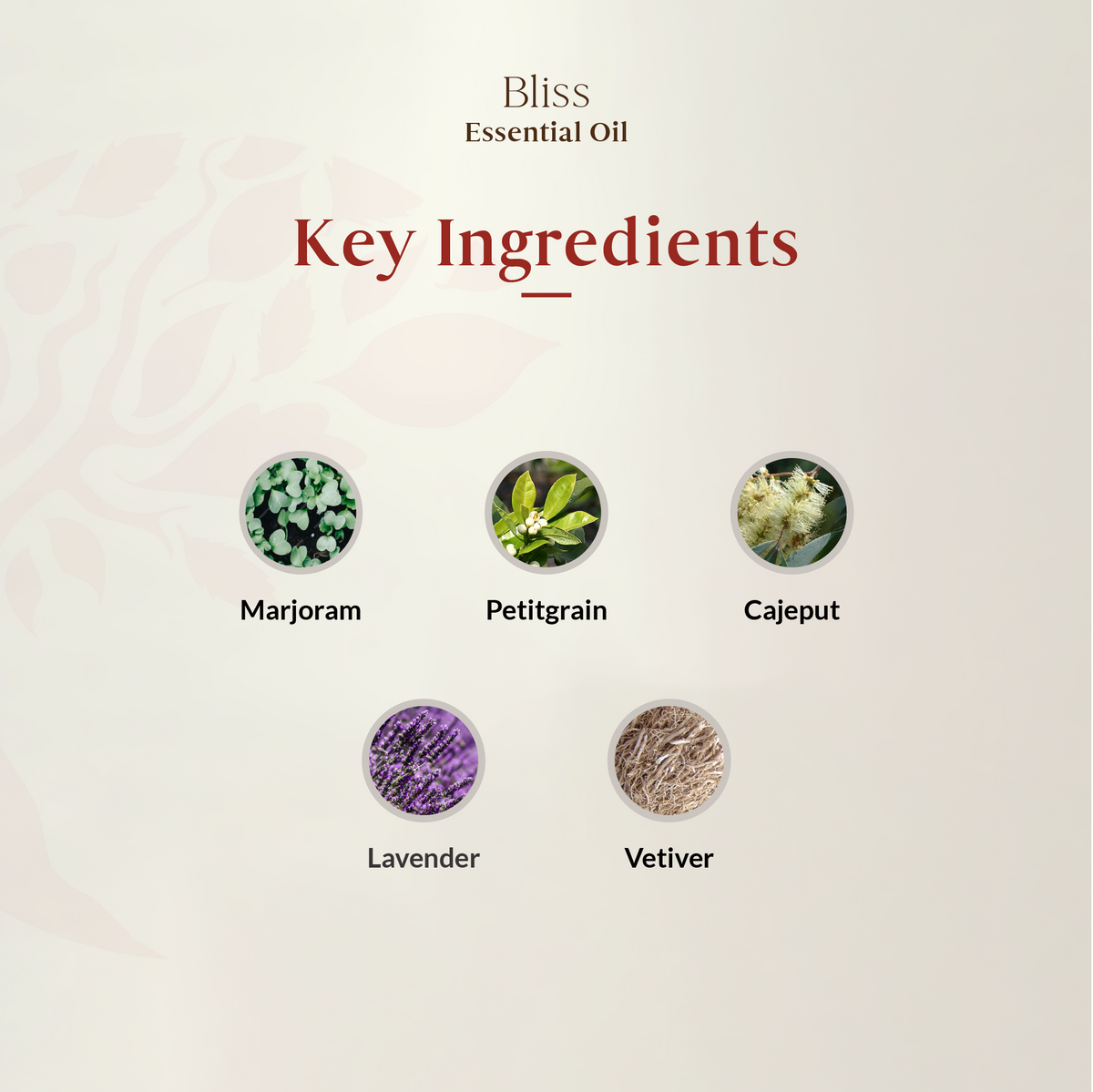 Bliss (Antsy Eraser) Essential Oil Blend 15ml