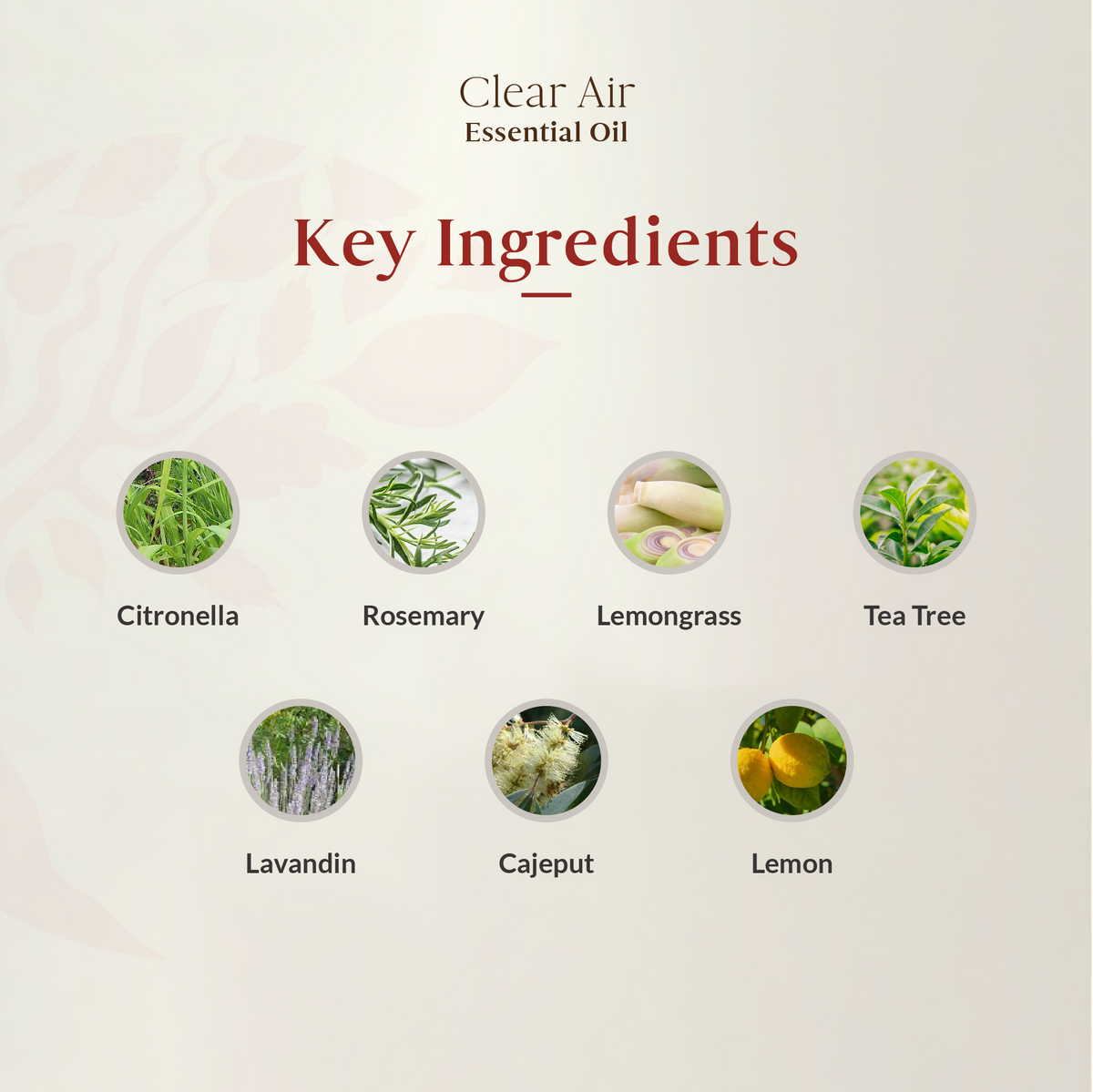 Clear Air Essential Oil Blend 15ml