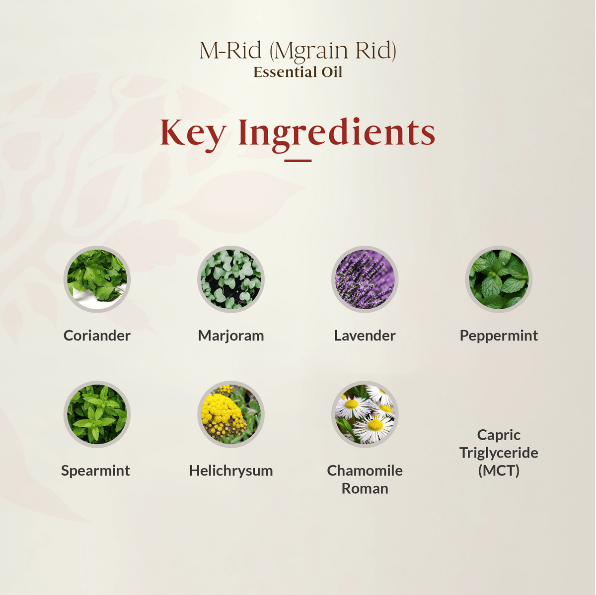 M-Rid Essential Oil Blend (Roll-On) 10ml (Expiry: JUL 2026) – PURAS ...