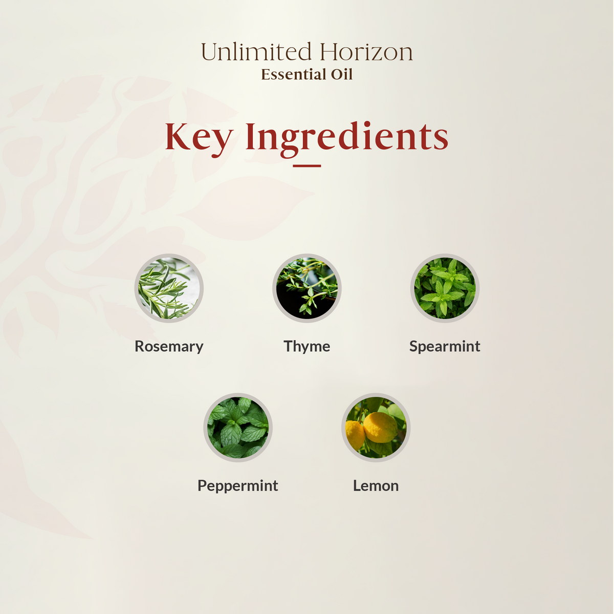Unlimited Horizon Essential Oil Blend 15ml