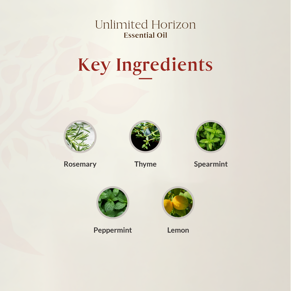 Unlimited Horizon Essential Oil Blend 15ml (Expiry: FEB 2026)