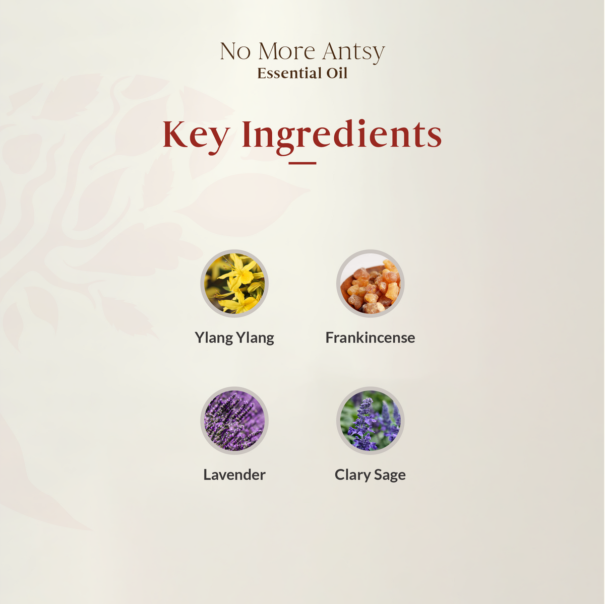 No More Antsy Essential Oil Blend 15ml- Short Expiry
