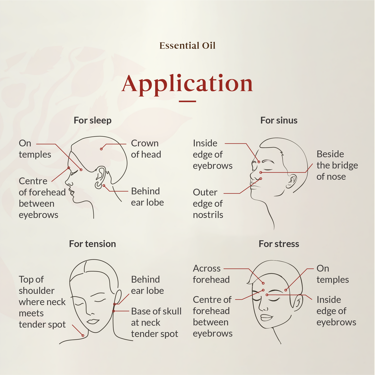 Coriander Essential Oil 15ml (Expiry: MAR 2026)