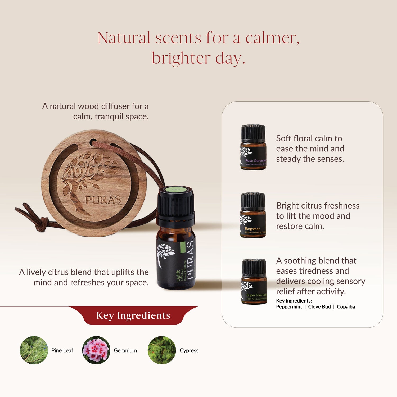 [6.6] Aroma Discovery Kit