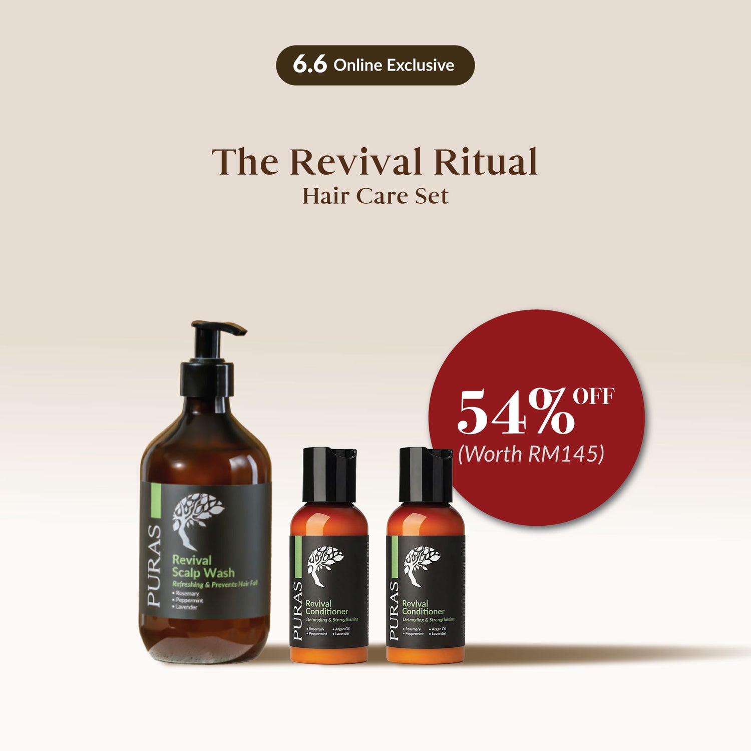 [6.6] The Revival Ritual