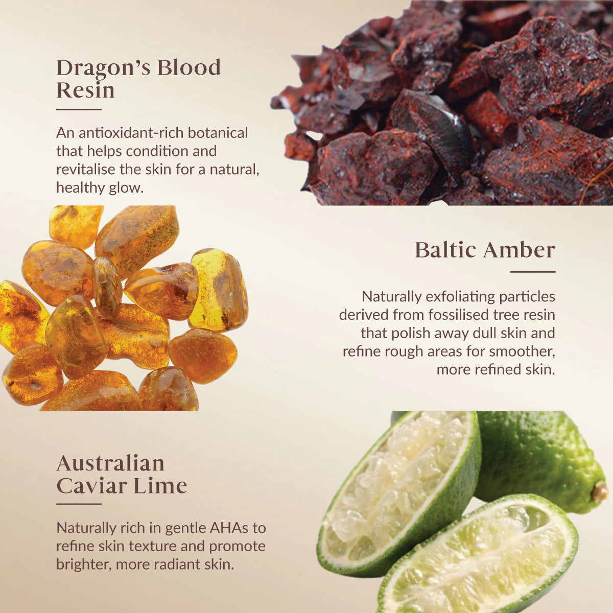 Ingredient guide showing Dragon’s Blood Resin to condition and revitalise skin, Baltic Amber to exfoliate and smooth rough areas, and Australian Caviar Lime with gentle AHAs to refine texture and brighten skin.