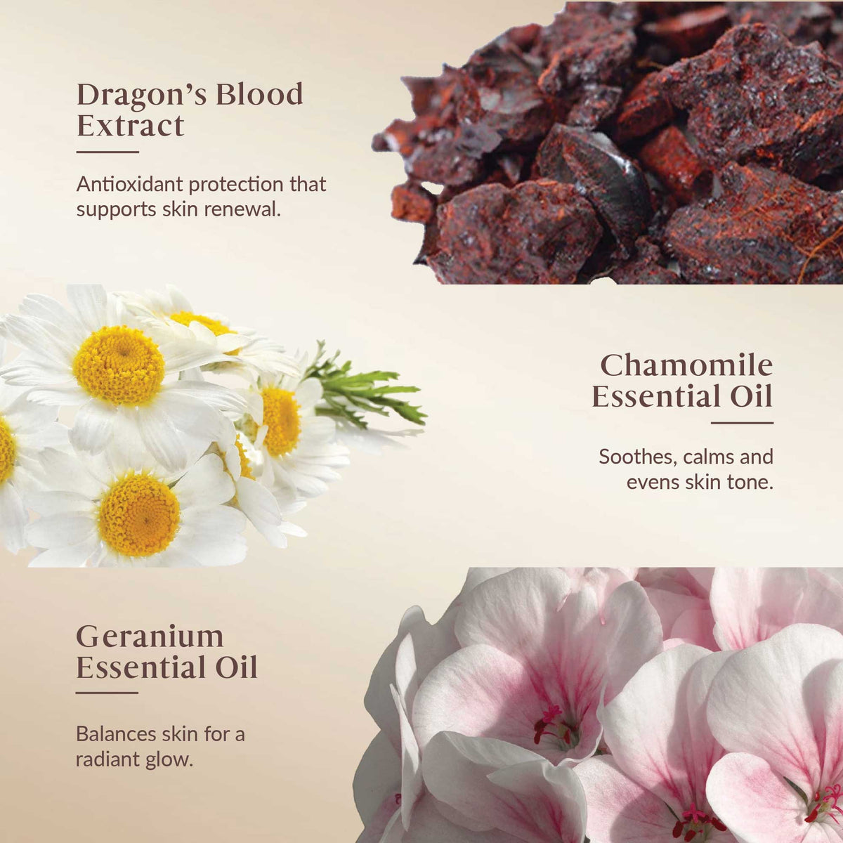 ingredients with text on antioxidant protection, skin renewal, soothing effects, and balancing skin for a radiant glow.