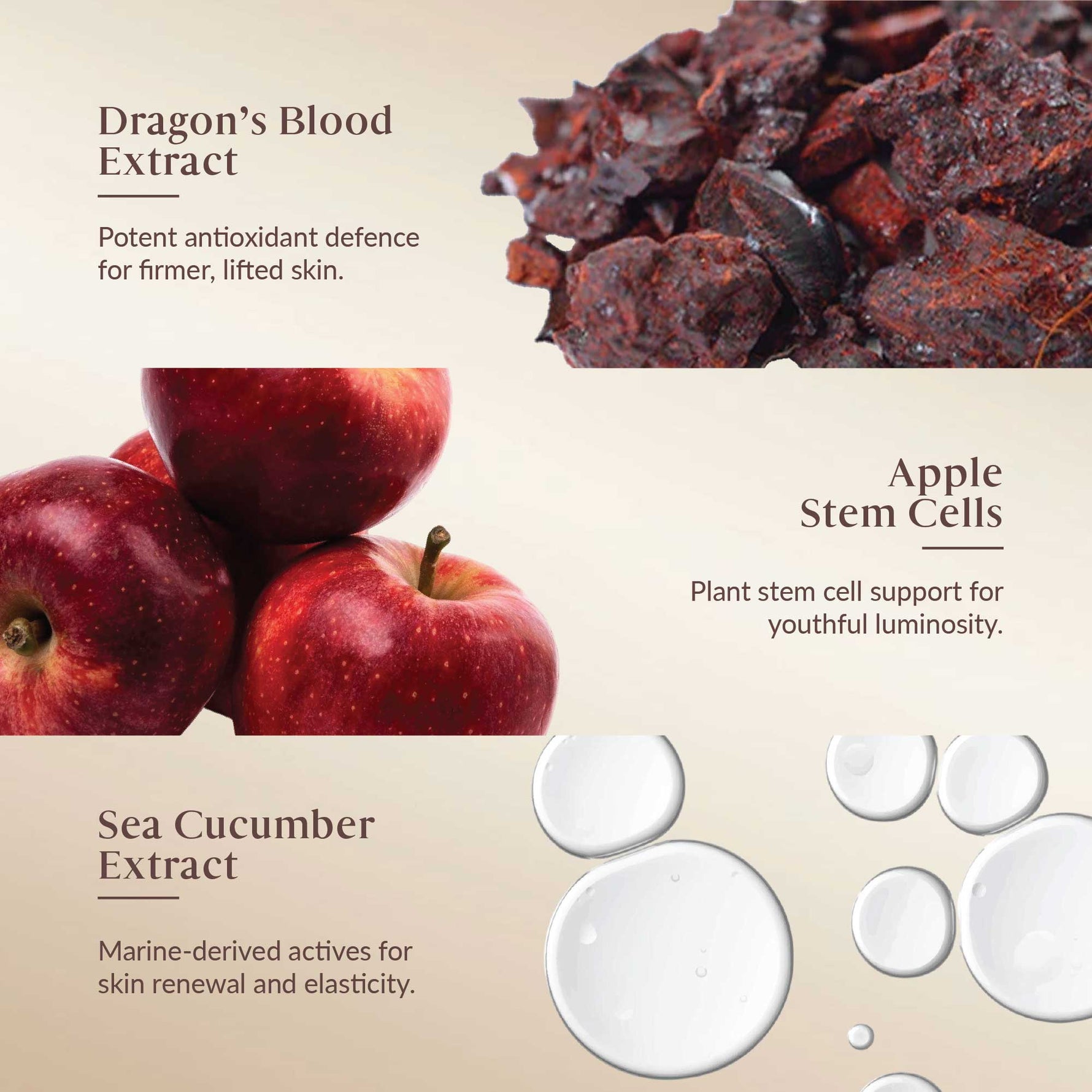Product ingredients with dragon's blood extract, apple stem cells, and sea cucumber extract displayed.