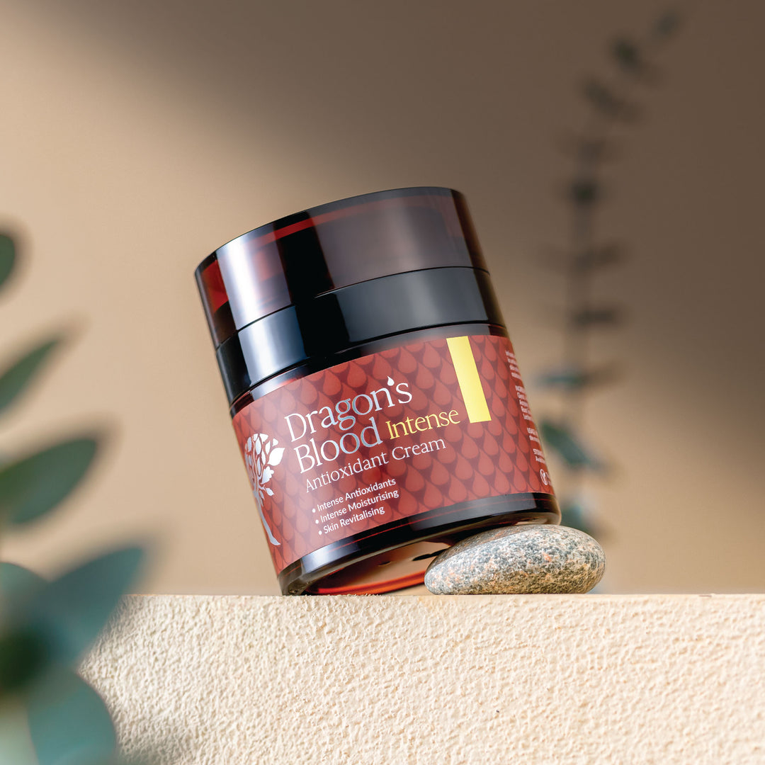 Jar of Dragon's Blood Intense Antioxidant Cream on a stone surface with plants in the background