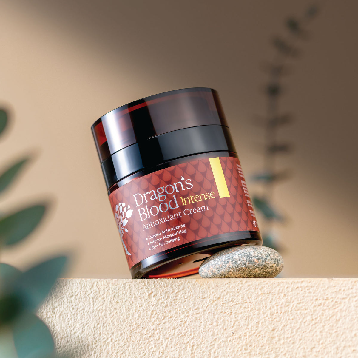 Jar of Dragon's Blood Intense Antioxidant Cream on a stone surface with plants in the background