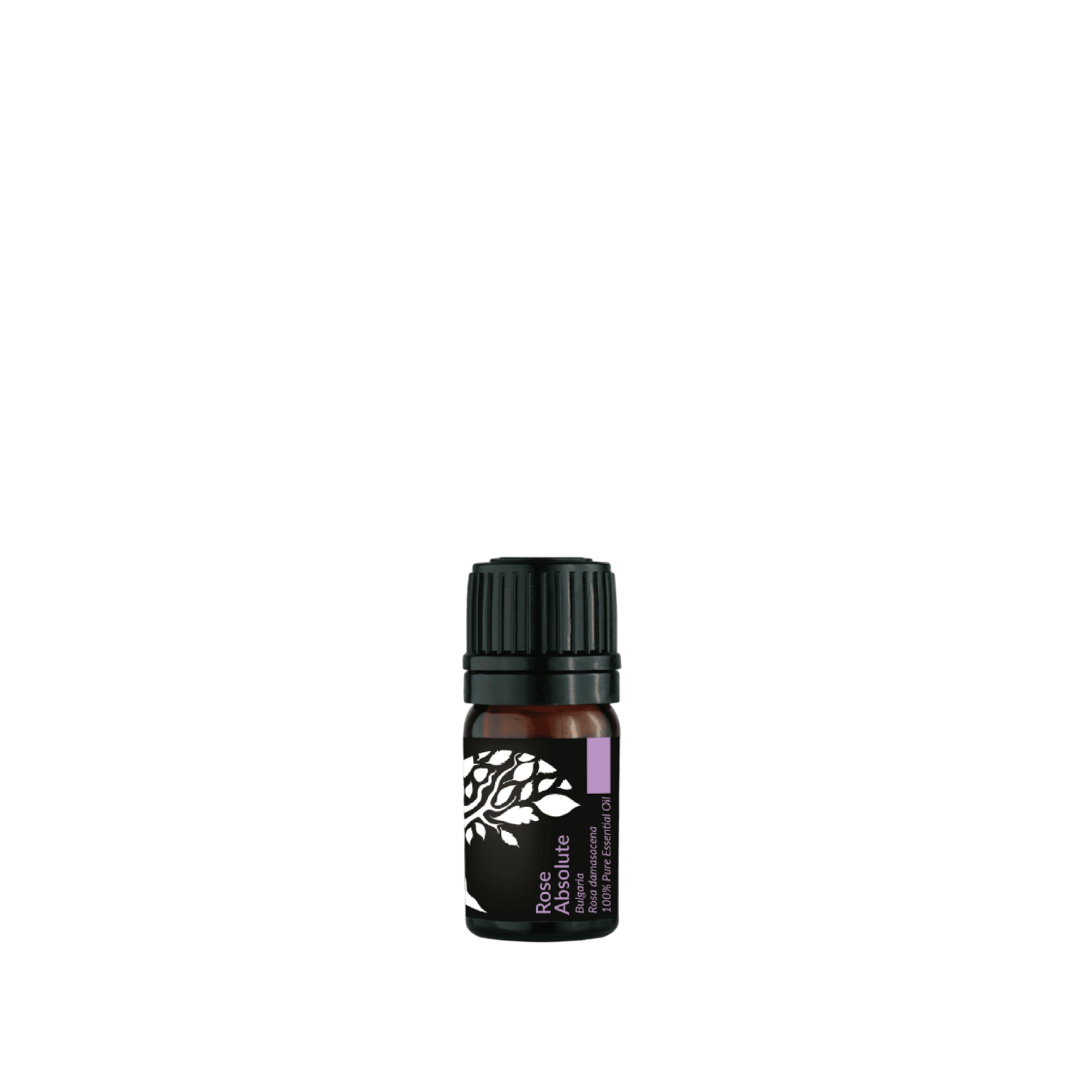 Rose Absolute Essential Oil 5ml