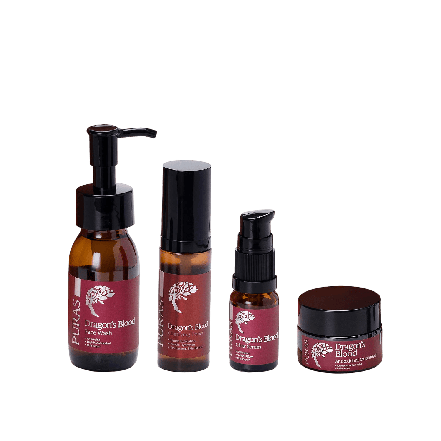 Dragon's Blood Radiance Ritual Kit