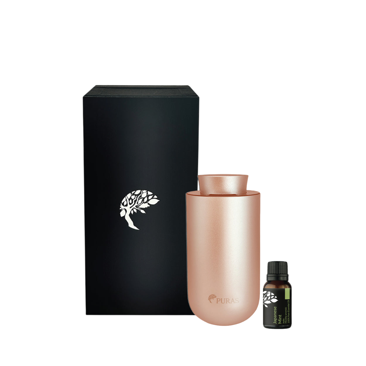 Relax & Unwind - Waterless Diffuser Set (Gold)