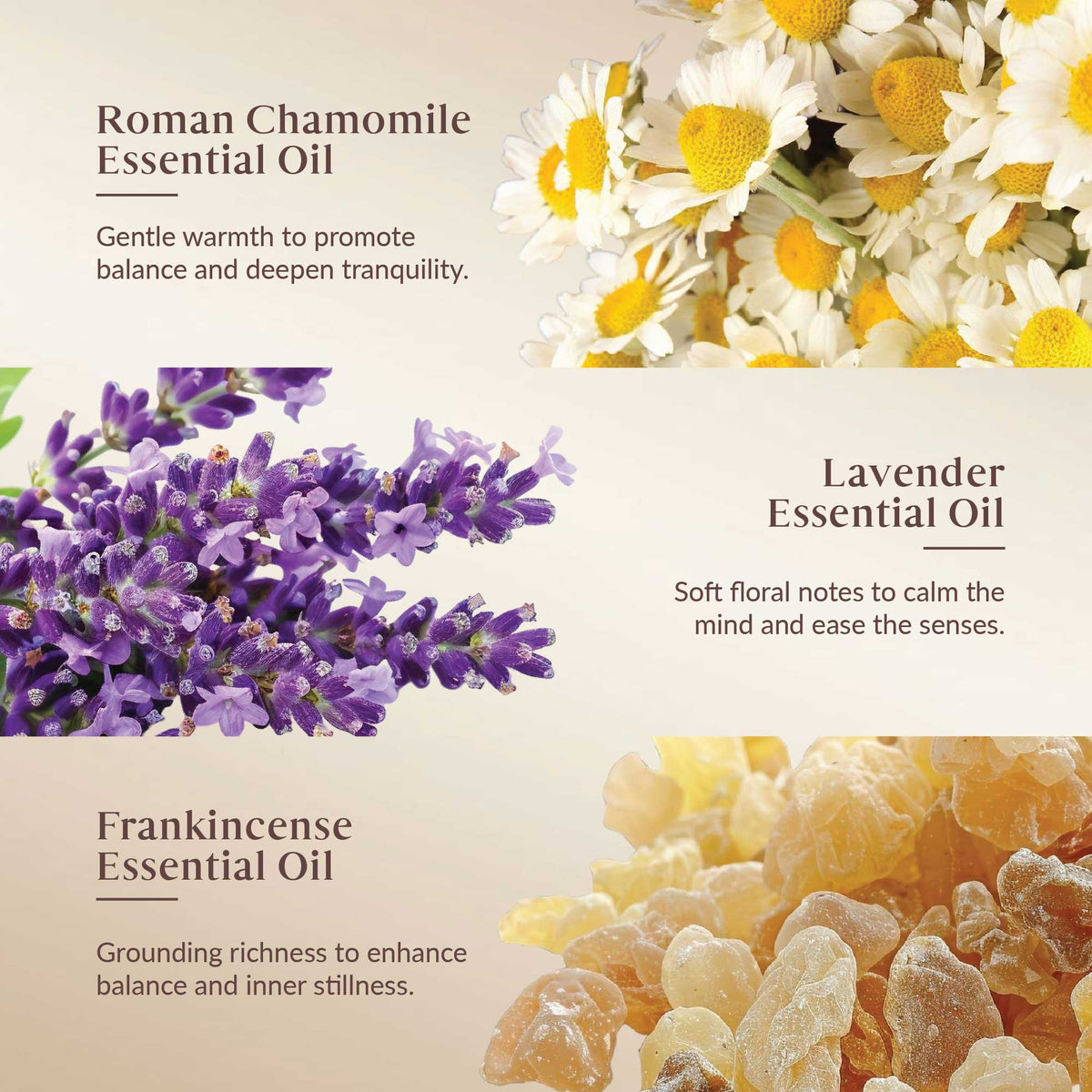Promotional image of Roman Chamomile, Lavender, and Frankincense essential oils with corresponding flowers and resin.