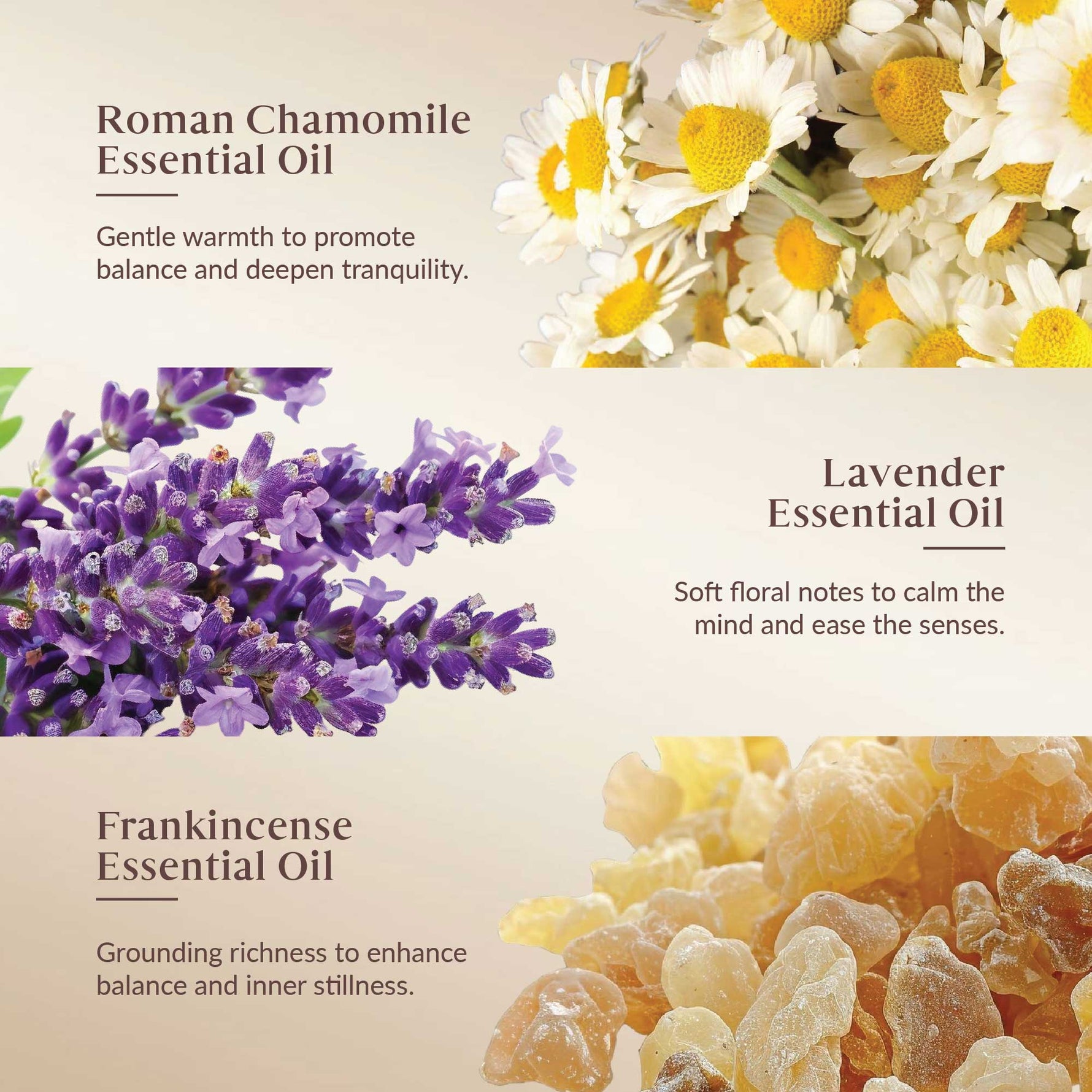 Promotional image of Roman Chamomile, Lavender, and Frankincense essential oils with corresponding flowers and resin.