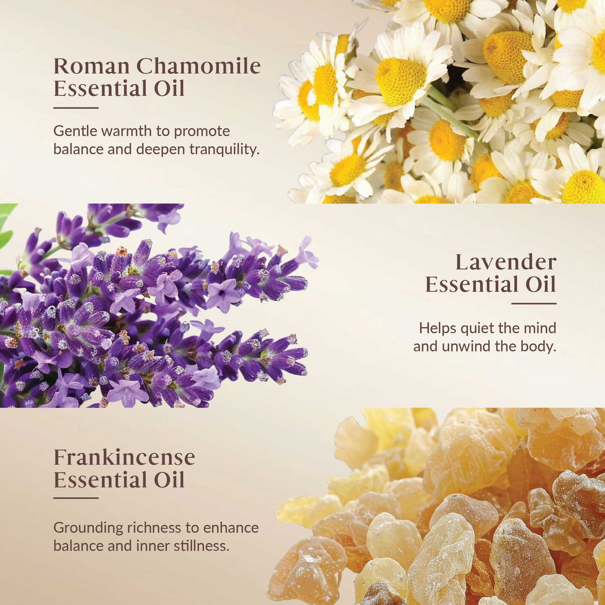 Promotional image of Roman Chamomile, Lavender, and Frankincense essential oils with corresponding flowers and resin.