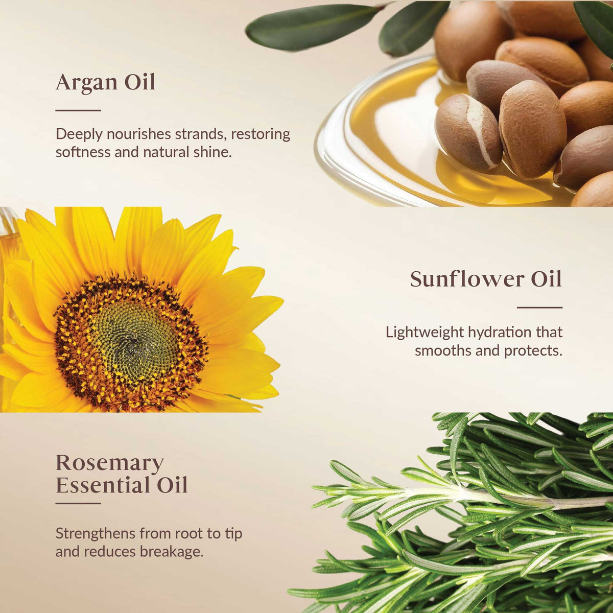 Promotional graphic featuring argan oil, sunflower oil, and rosemary essential oil with corresponding images and text.