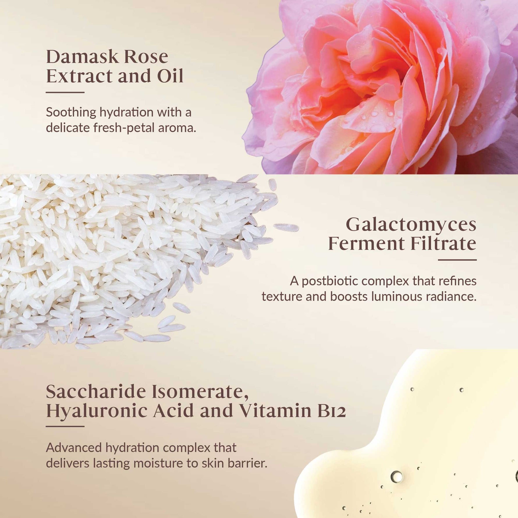Cosmetic ingredients with Damask Rose Extract and Oil, Galactomyces Ferment Filtrate, Saccharide Isomerate, Hyaluronic Acid, and Vitamin B12 on a beige background.