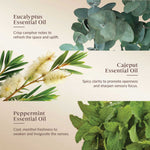 Promotional image of eucalyptus, cajeput, and peppermint essential oils with plant images and descriptive text.