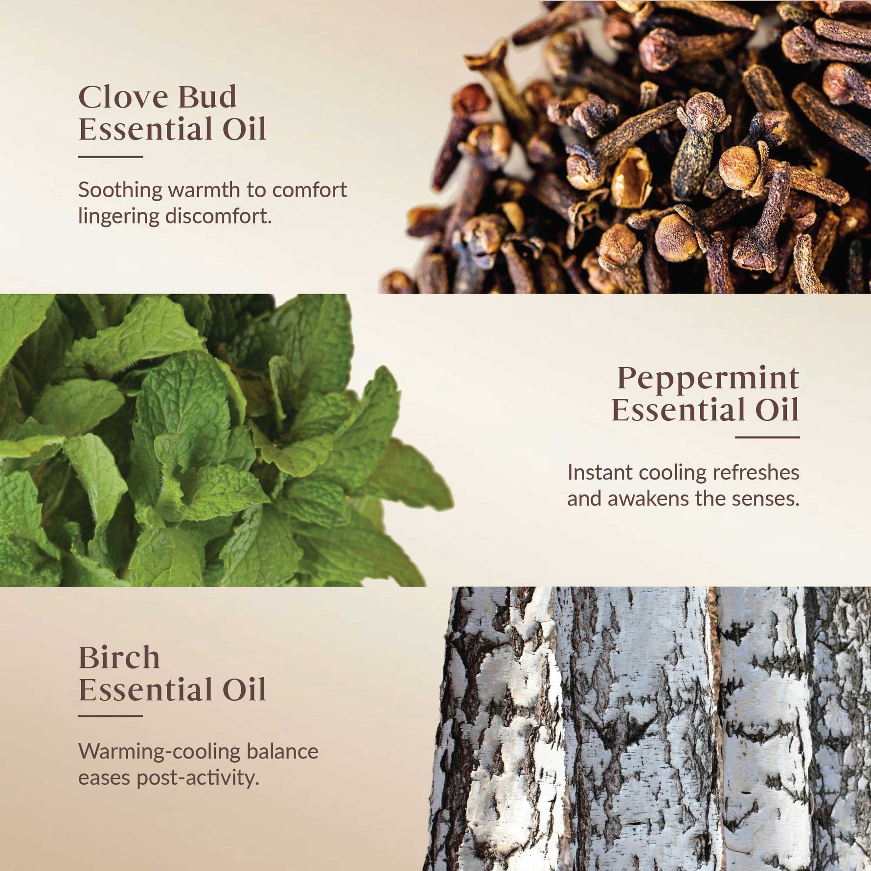 Promotional graphic for clove bud, peppermint, and birch essential oils with images of the oils' natural elements.